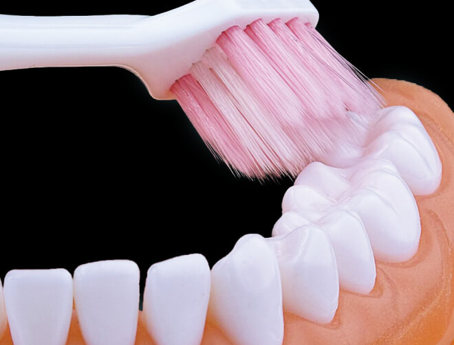 薄型纖巧刷頭靈活深入